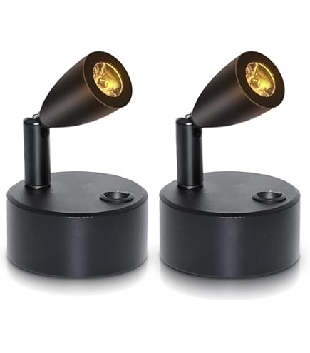 Amazon.co.jp: Free! スポットライト カラー マガジン セット 冊子のみ